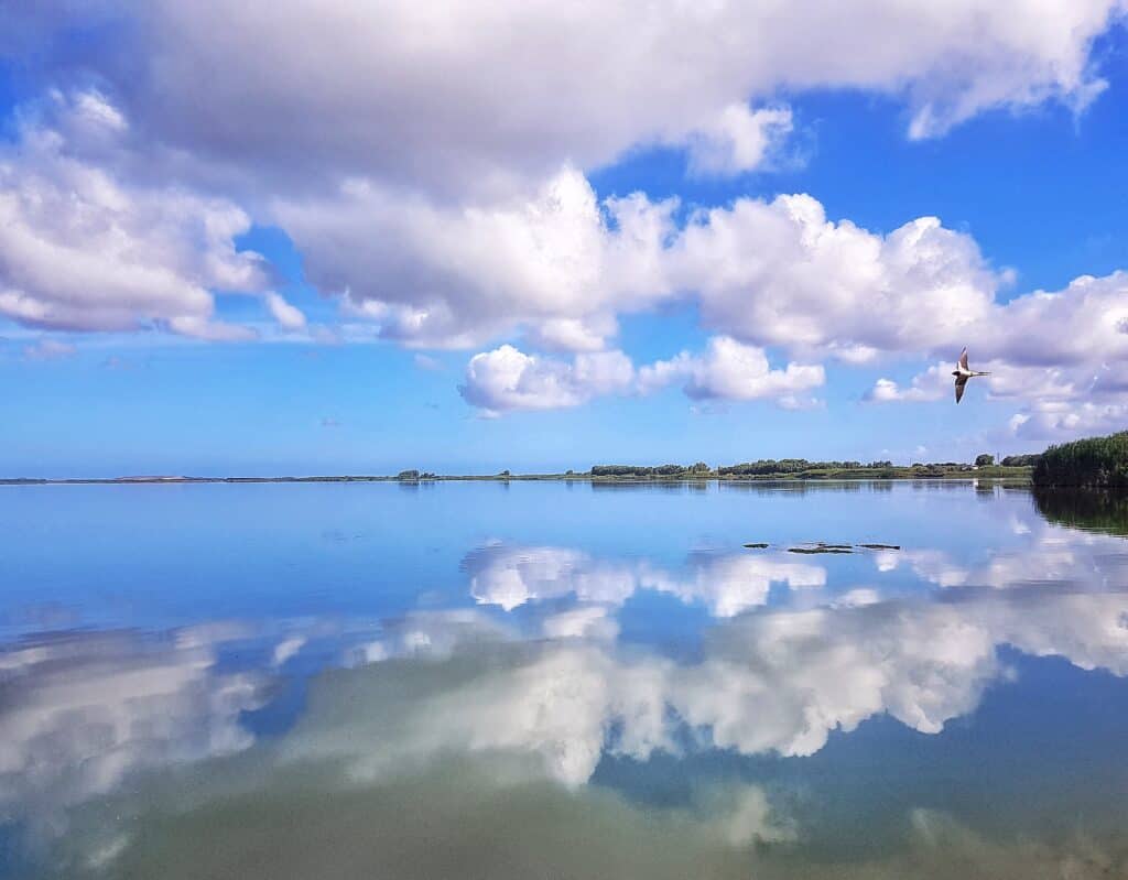 Nuvole che si specchiano nello stagno di Cabras | Workshop di Fotografia a Limòlo House