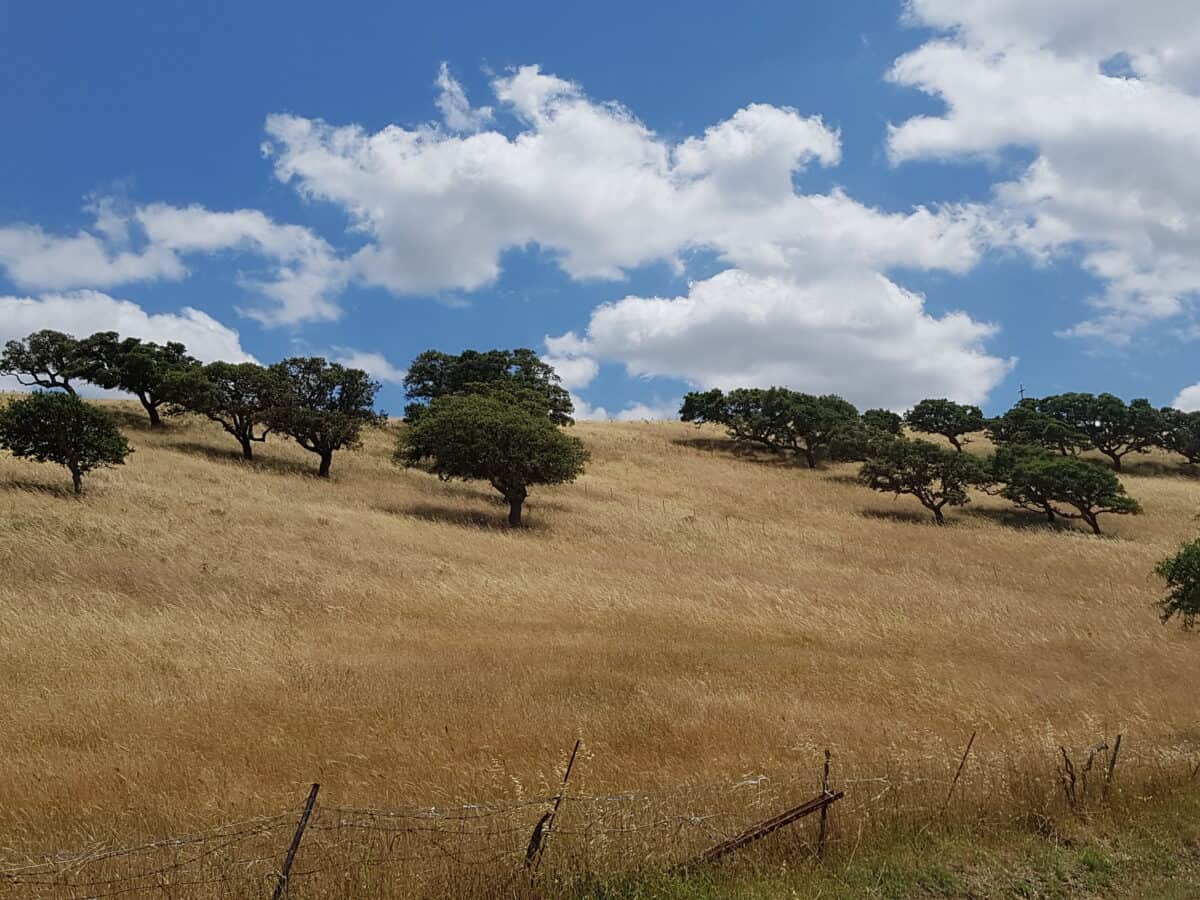 workshop di fotografia colline di Sardegna
