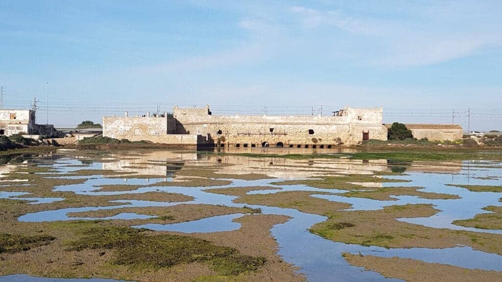 Immagine simbolica per la Giornata Mondiale Zone Umide 2025. Parco NAturale Bahia de Cadiz, Molino de mareas. Foto Limolo House