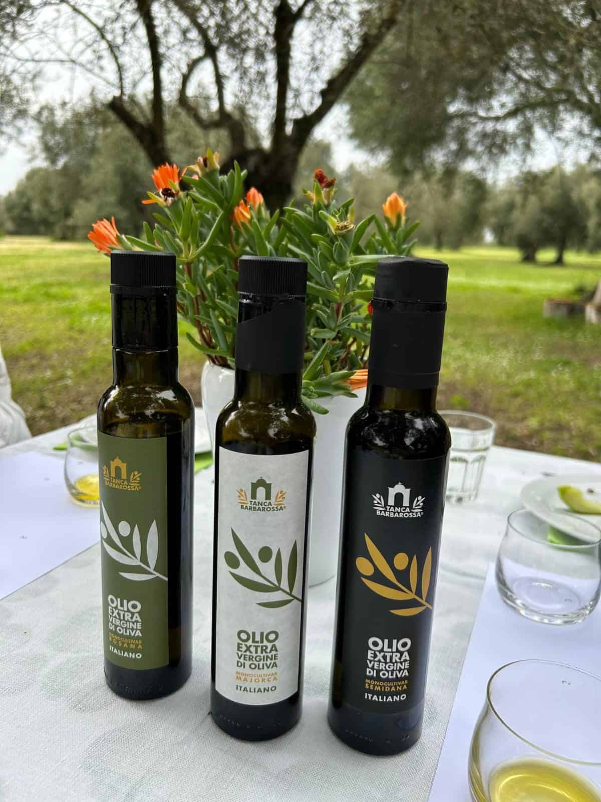 regali green per natale bottiglie olio tanca barbarossa 