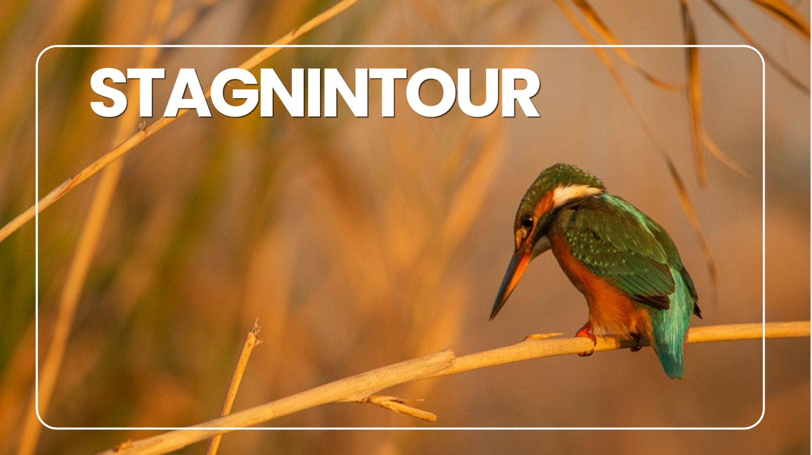 Stagnintour: turismo rigenerativo nelle zone umide dell’Oristanese