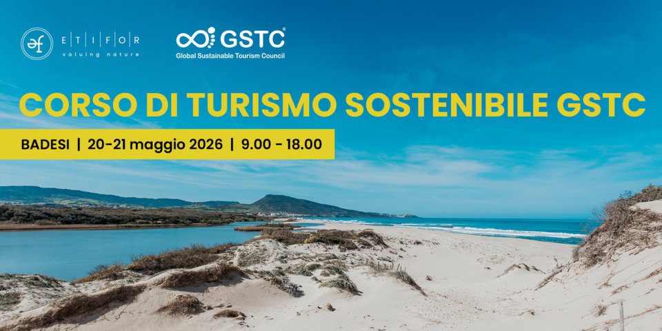 Turismo come risorsa generativa: trasforma la tua struttura in un motore di valore territoriale
