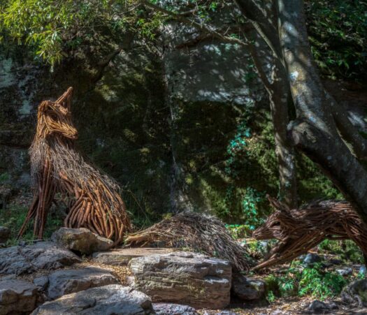 Visitare il Bosco da Fiaba a Pau in Sardegna. Land Art e cultura del territorio