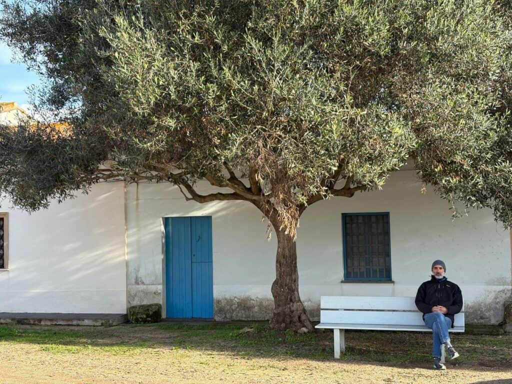 San Salvatore si Sinis, scorcio delle facciate con uomo seduto in una panchian e ulivo