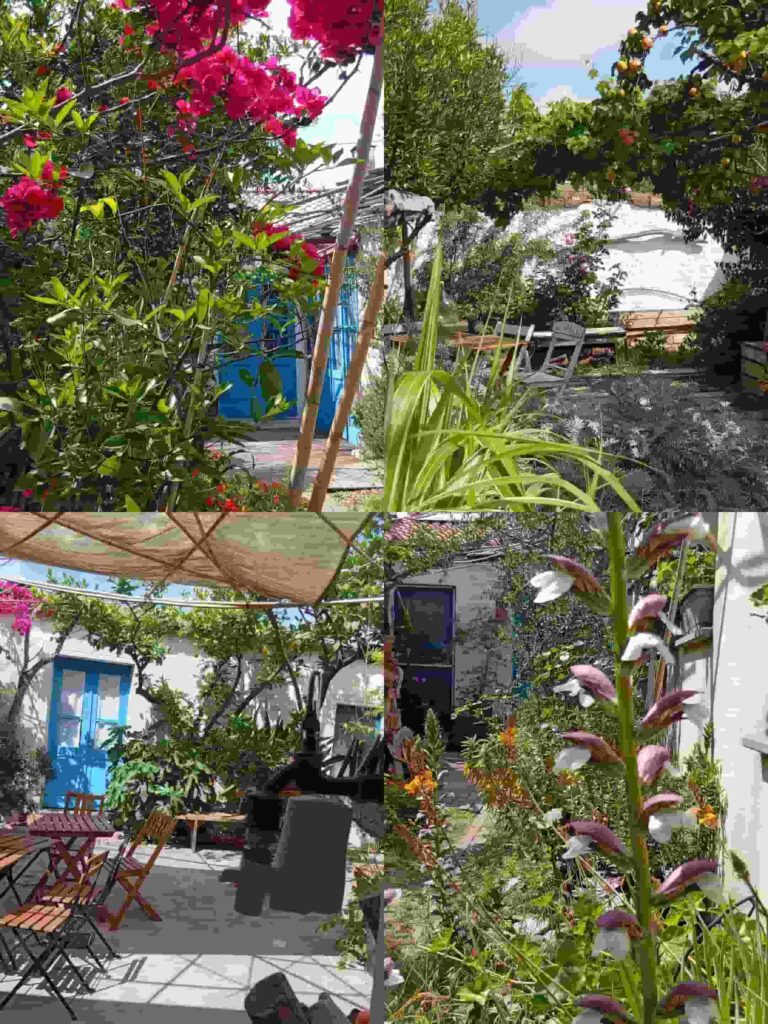 giardino di Limolo bed and breakfast a Cabras con spazi verdi