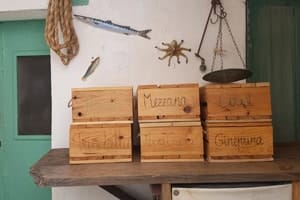 limolo-sostenibilità-1