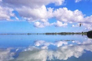 limolo-sostenibilità-4