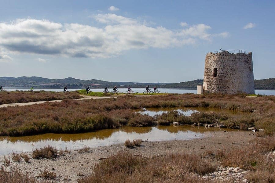 Giornata Mondiale delle Zone Umide in Sardegna 2025. VIsita alla torre di Marceddi'. Foto Gabriele Espis